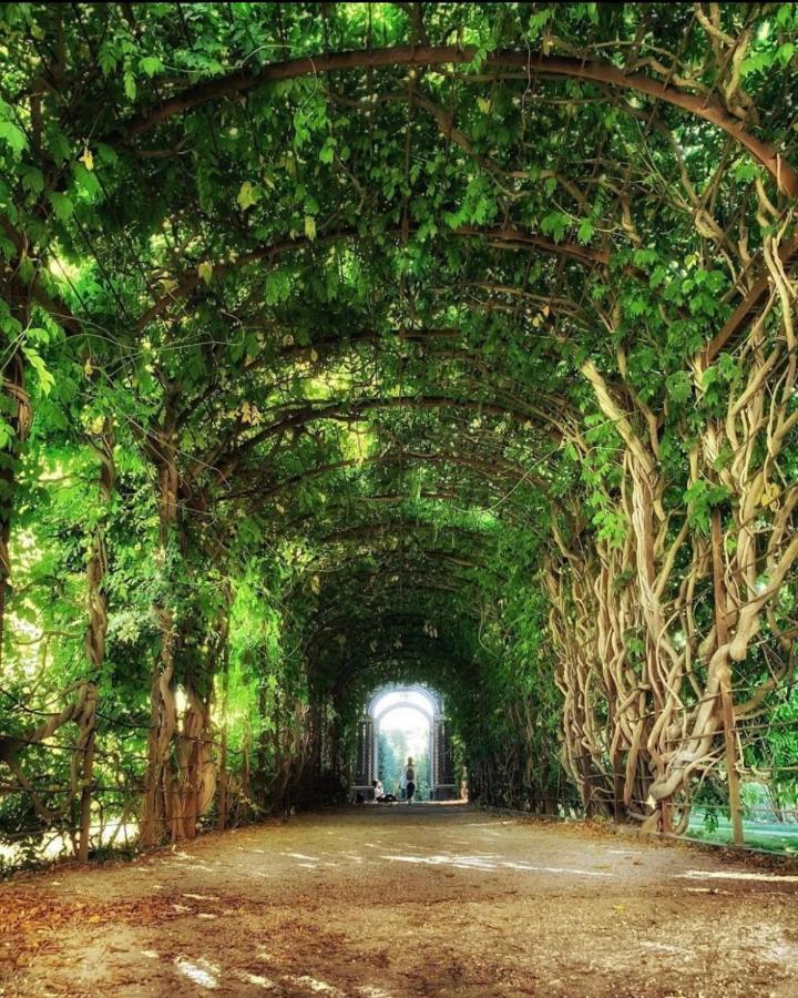 Regal Retreat Intimate Elegance Near Schoenbrunn Palace เวียนนา ภายนอก รูปภาพ